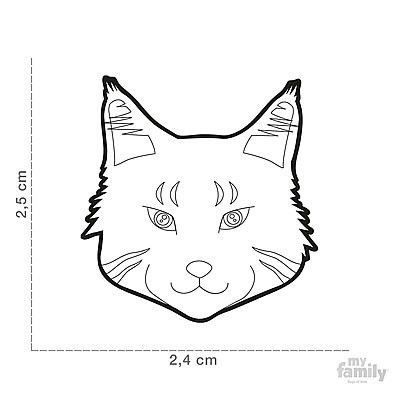 SILVER MAINE COON CAT