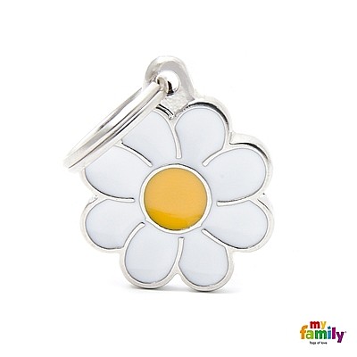 ����� DAISY