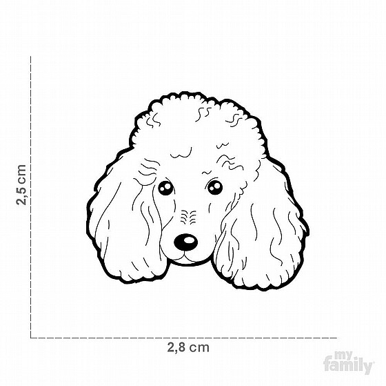 ������� POODLE