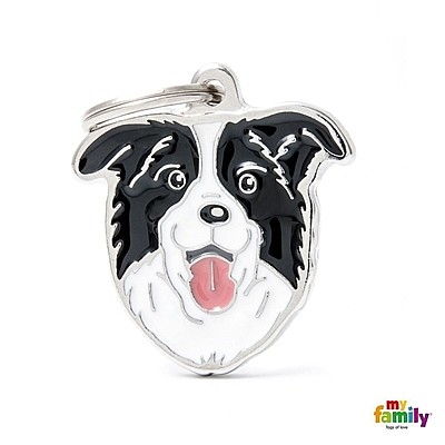 ����� ���� BORDER COLLIE