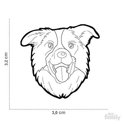 ����� ���� BORDER COLLIE