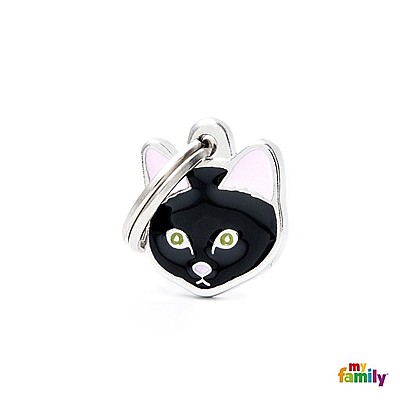 BLACK EUROPEAN SHORTHAIR CAT