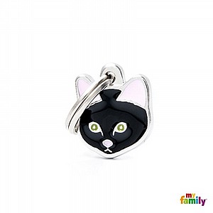BLACK EUROPEAN SHORTHAIR CAT