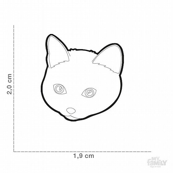 BLACK EUROPEAN SHORTHAIR CAT