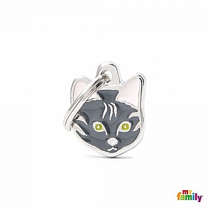 TABBY EUROPEAN SHORTHAIR CAT