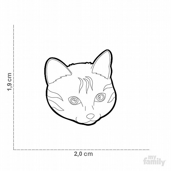 TABBY EUROPEAN SHORTHAIR CAT