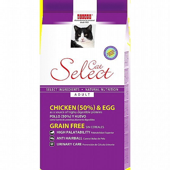 SELECT CAT ADULT ���� ����� ���� 2 �"�