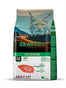 BRAVERY  ���� ���������� ���� ����� ������ ���, ��� ��� 2 �"� 