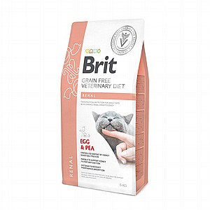 Brit Renal ���� ���� ������� 5 �"�