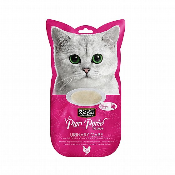 KIT CAT ���� ��� �� ���� ��� ������ ������� 60 ���