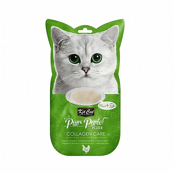 KIT CAT ���� ��� �� ����  ��� ������ �����  60 ��