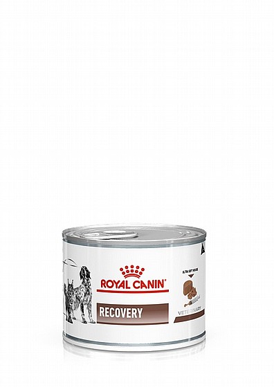 Royal Canin Recovery 195gr