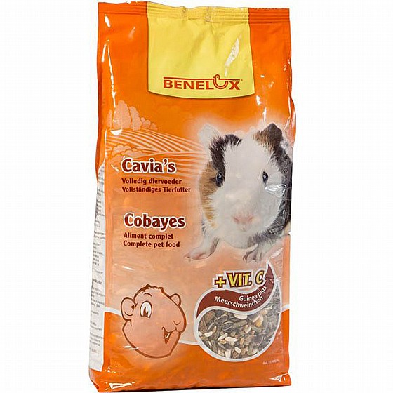 CAVY