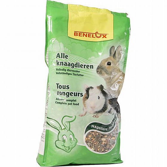 ALL RODENTS