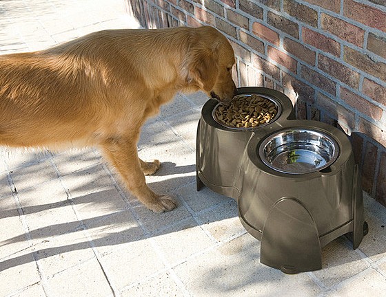 ������ Ergo Feeder 28CM