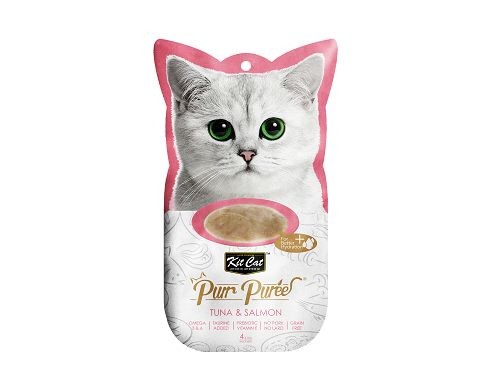 KIT CAT