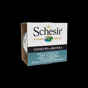 ���� ���� ���� �� ������� 85 ��� Schesir