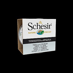 ���� ���� ���� �� ���� 85 ��� Schesir