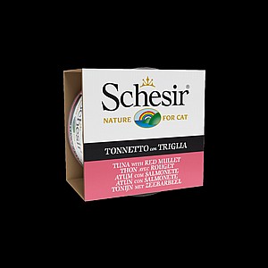 ���� ���� ���� �� ����� ����� 85 ��� Schesir