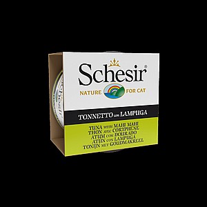 ���� ���� ���� �� ����� 85 ��� Schesir