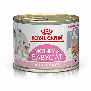 ��� & ��� ���� (��� �� ������) Mother And Babycat (Ultra Soft Mousse)