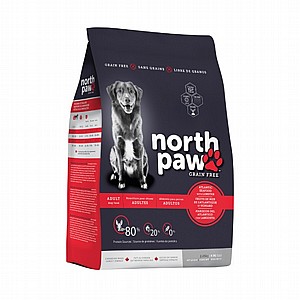 ���� ���� ���� ��� ����� ������ ������- ���� ������� north paw