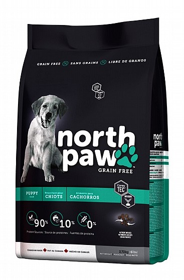 ���� ���� ���� ��� ����� ������ �����- ��� ����� north paw