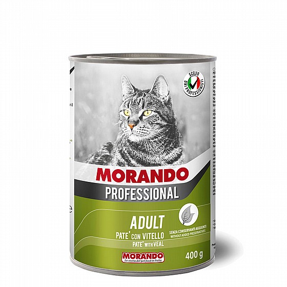 ��� ������� ���� ���� 400�� MORANDO