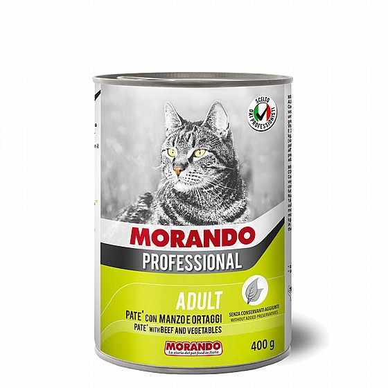 ��� ������� ���� ���� ������ 400�� MORANDO
