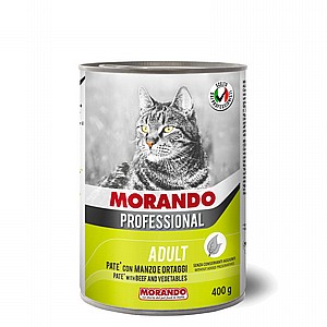 ��� ������� ���� ���� ������ 400�� MORANDO