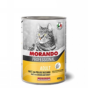 ��� ������� ���� ���� ����� 400�� MORANDO
