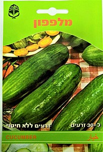 ����� ������ CUCUMBER