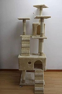 ����  ����� 5 ����� �� 2 ����� ICAT
