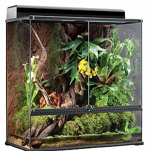 טרריום (בית זוחלים מתקדם ) NATURAL TERRARIUM LARGE PT2609 טרריום (בית זוחלים מתקדם ) NATURAL TERRARIUM LARGE PT2609