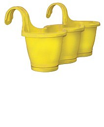 ����� ���� �� 