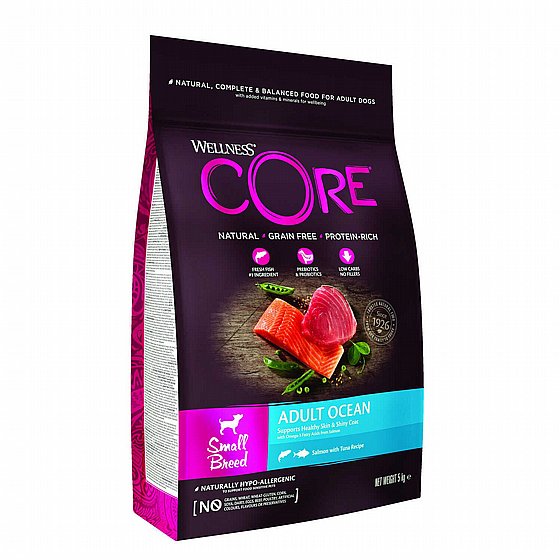 ����� ��� ���� �� ���� ���� ������ - ���� ���� ���� ��� 5 ��-Wellness CORE 