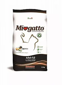 Miogatto, ���� ����� ���� ��� ������ 10 �"�