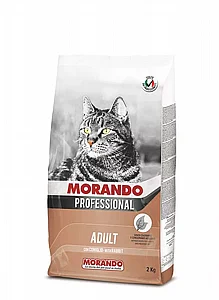 Morando Professional, ���� �����.����� �����: 2 �"�
