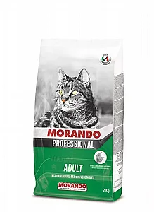 Morando Professional, ���� �����.���� �����