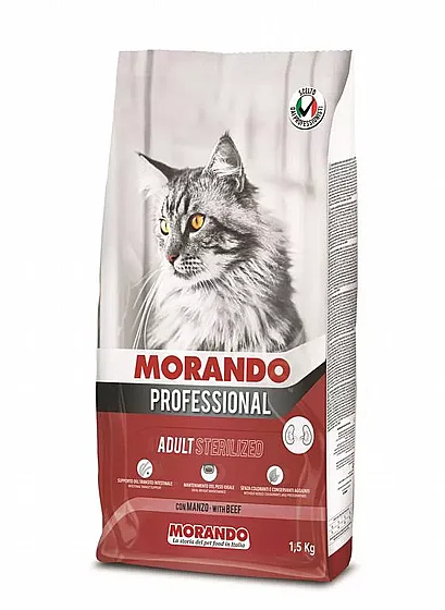 Morando Professional, ���� ����� ����� ��� 1.5 �� 