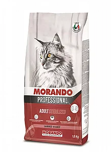 Morando Professional, ���� ����� ����� ��� 1.5 �� 