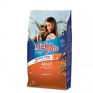 Migliogatto , ���� �����. ����� ��� 4 �� 