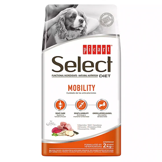 ���� � ���� ���� �� ����� ������ (Mobility) 10 �� 