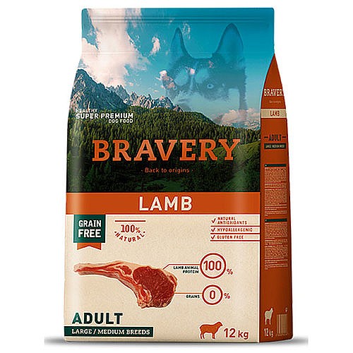 BRAVERY ��� ���� ��� ����������, ��� ����� ���� ����� 12�"�