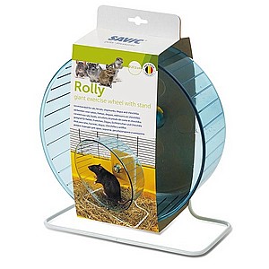 ���� ���� �������� ROLLY