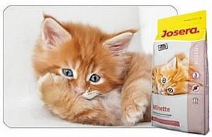 JOSERA KITTEN ���� ��� �� ��� ����� ���� 10 �"�