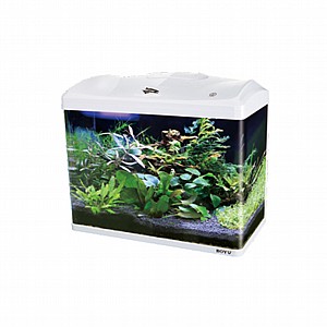 �������� EC 600 BOYU