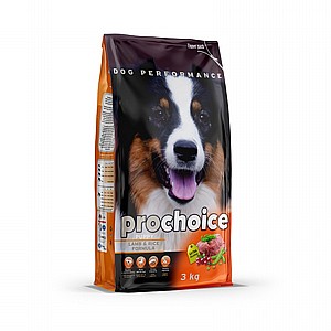 ����'���� ���� ������ �����- ��� ����� 3�"� PROCOICE