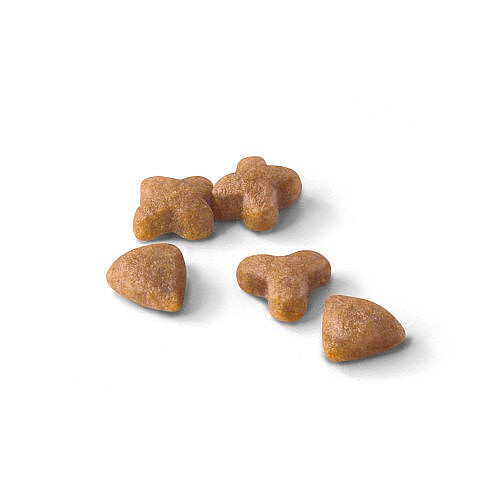 royal canine sensible