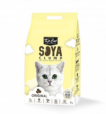 ��� ������ ���� ������ ���� ����� 7 ����SOYA CLUMP